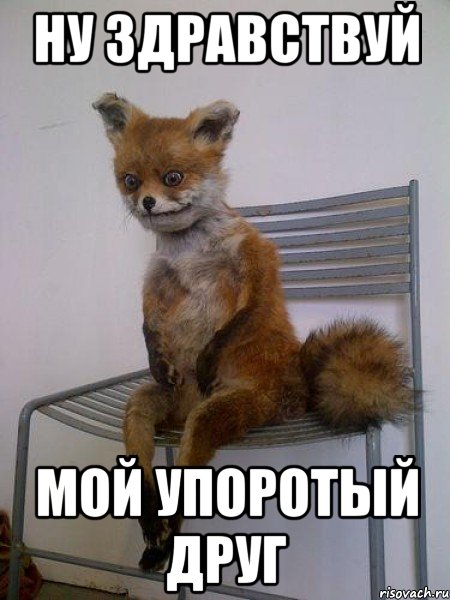 ну здравствуй мой упоротый друг, Мем Упоротая лиса