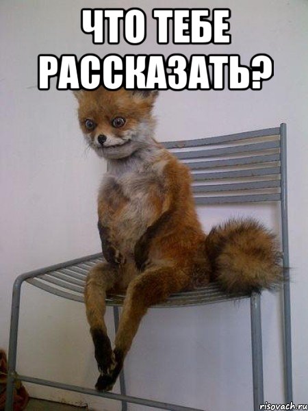 что тебе рассказать? , Мем Упоротая лиса