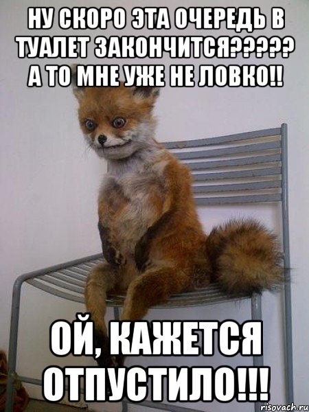 ну скоро эта очередь в туалет закончится??? а то мне уже не ловко!! ой, кажется отпустило!!!, Мем Упоротая лиса