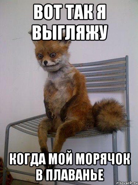 вот так я выгляжу когда мой морячок в плаванье, Мем Упоротая лиса