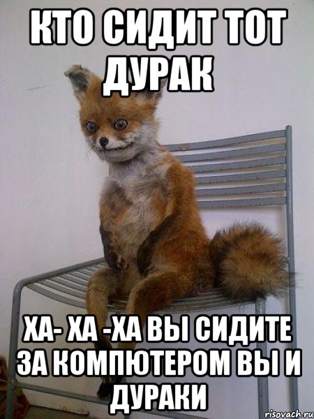 кто сидит тот дурак ха- ха -ха вы сидите за компютером вы и дураки, Мем Упоротая лиса