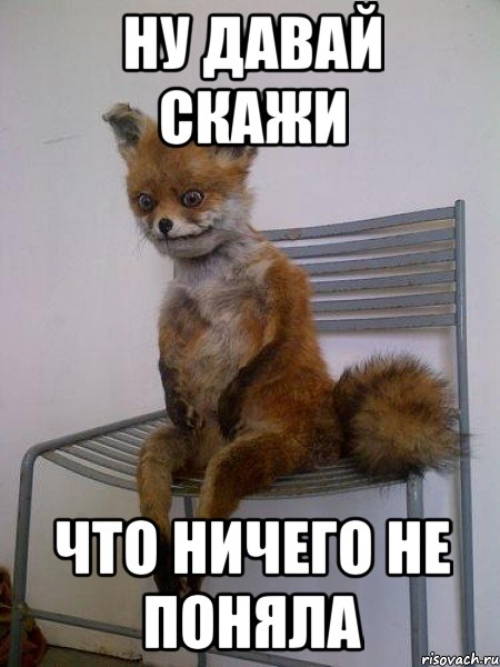 ну давай скажи что ничего не поняла, Мем Упоротая лиса