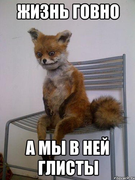 жизнь говно а мы в ней глисты, Мем Упоротая лиса