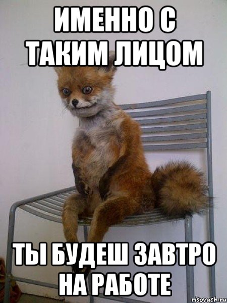 именно с таким лицом ты будеш завтро на работе, Мем Упоротая лиса