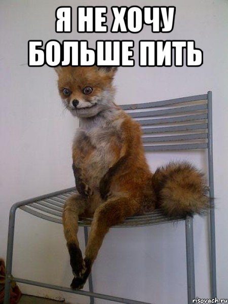 я не хочу больше пить , Мем Упоротая лиса