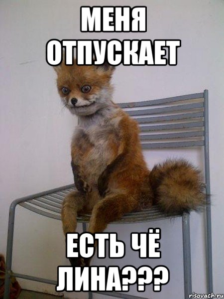 меня отпускает есть чё лина???, Мем Упоротая лиса
