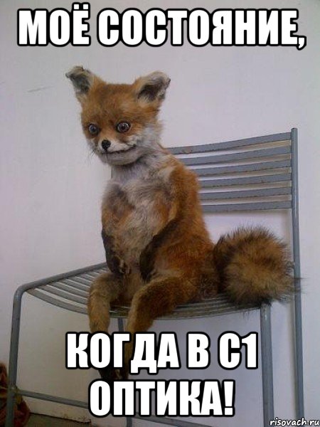 моё состояние, когда в с1 оптика!, Мем Упоротая лиса