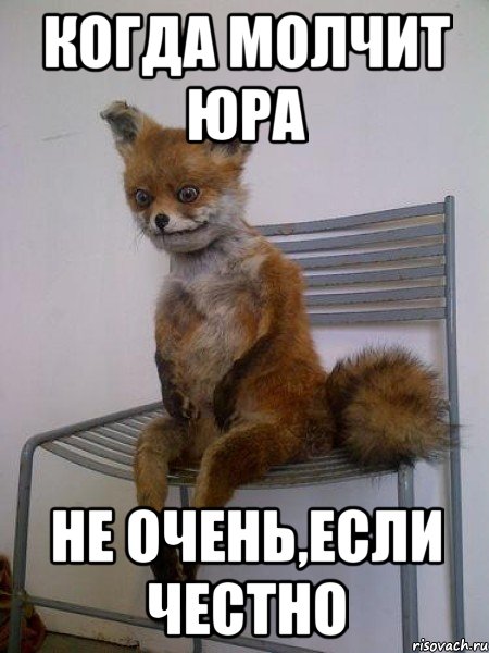 когда молчит юра не очень,если честно, Мем Упоротая лиса