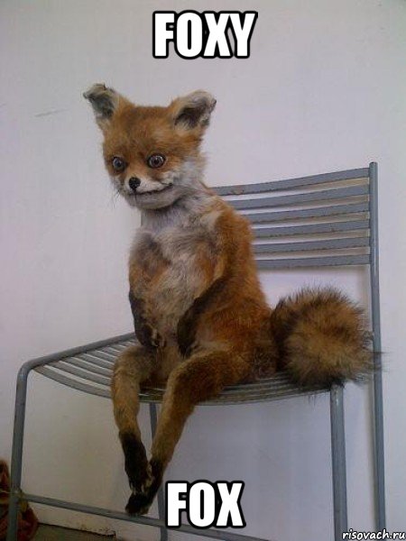 foxy fox, Мем Упоротая лиса