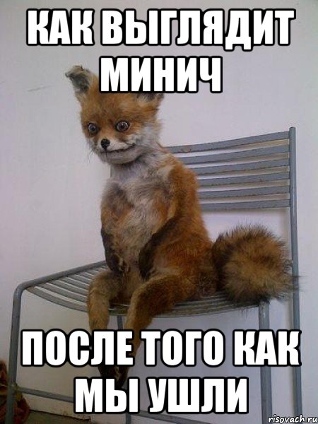 как выглядит минич после того как мы ушли, Мем Упоротая лиса