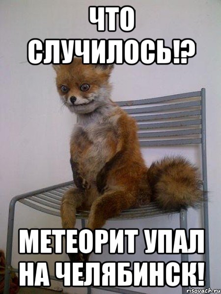 что случилось!? метеорит упал на челябинск!, Мем Упоротая лиса