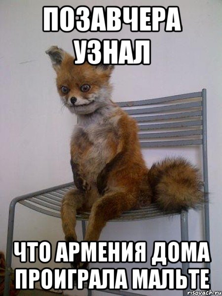 позавчера узнал что армения дома проиграла мальте, Мем Упоротая лиса