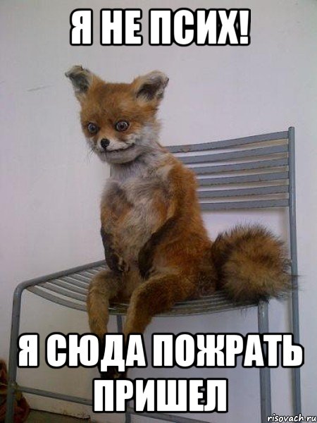 я не псих! я сюда пожрать пришел, Мем Упоротая лиса