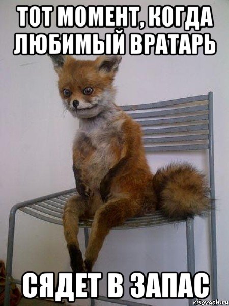 тот момент, когда любимый вратарь сядет в запас, Мем Упоротая лиса