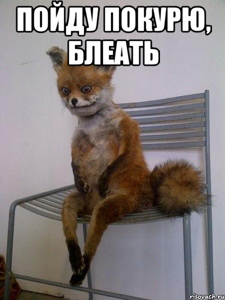 пойду покурю, блеать , Мем Упоротая лиса