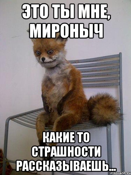 это ты мне, мироныч какие то страшности рассказываешь..., Мем Упоротая лиса