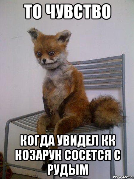 то чувство когда увидел кк козарук сосется с рудым, Мем Упоротая лиса