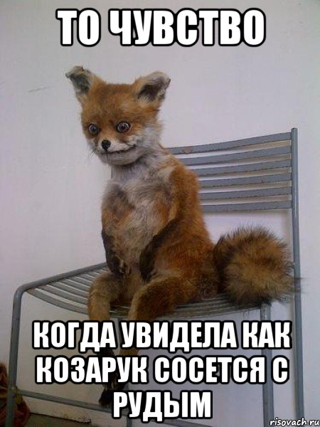 то чувство когда увидела как козарук сосется с рудым, Мем Упоротая лиса