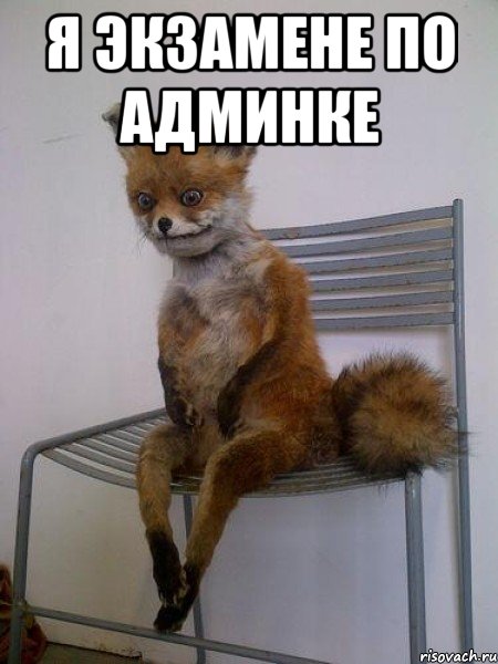 я экзамене по админке 
