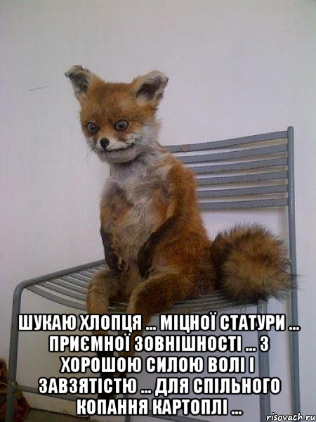 шукаю хлопця ... міцної статури ... приємної зовнішності ... з хорошою силою волі і завзятістю ... для спільного копання картоплі ..., Мем Упоротая лиса