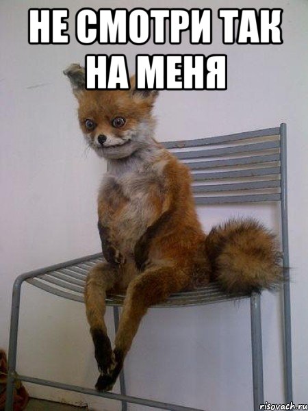 не смотри так на меня , Мем Упоротая лиса