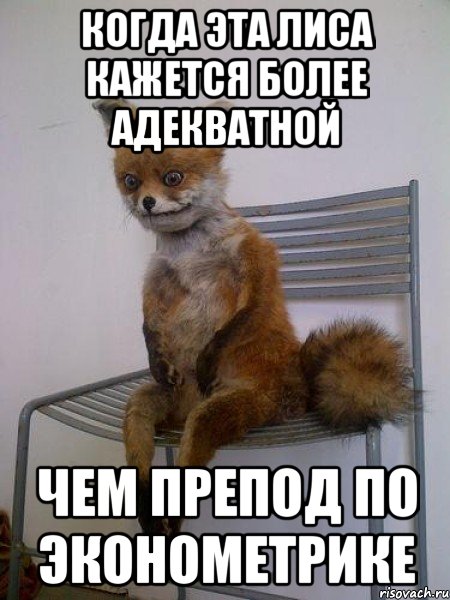 когда эта лиса кажется более адекватной чем препод по эконометрике, Мем Упоротая лиса