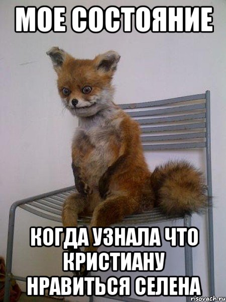 мое состояние когда узнала что кристиану нравиться селена, Мем Упоротая лиса