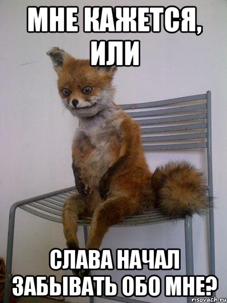 мне кажется, или слава начал забывать обо мне?, Мем Упоротая лиса