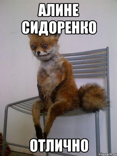 алине сидоренко отлично, Мем Упоротая лиса