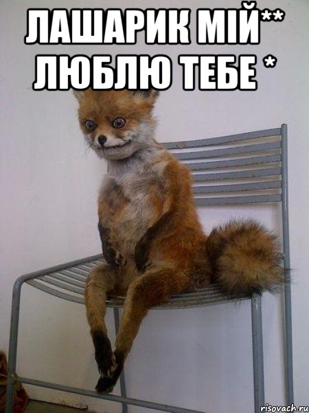 лашарик мiй** люблю тебе * , Мем Упоротая лиса