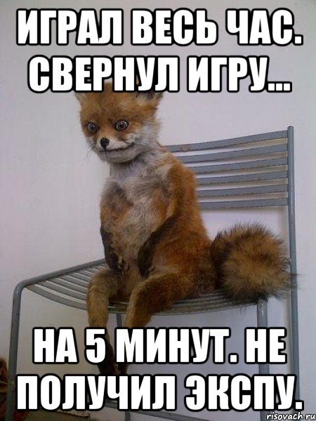 играл весь час. свернул игру... на 5 минут. не получил экспу., Мем Упоротая лиса
