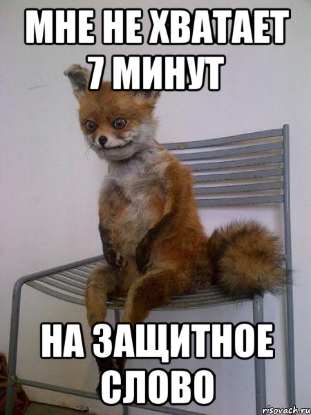 мне не хватает 7 минут на защитное слово, Мем Упоротая лиса
