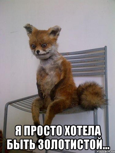  я просто хотела быть золотистой..., Мем Упоротая лиса