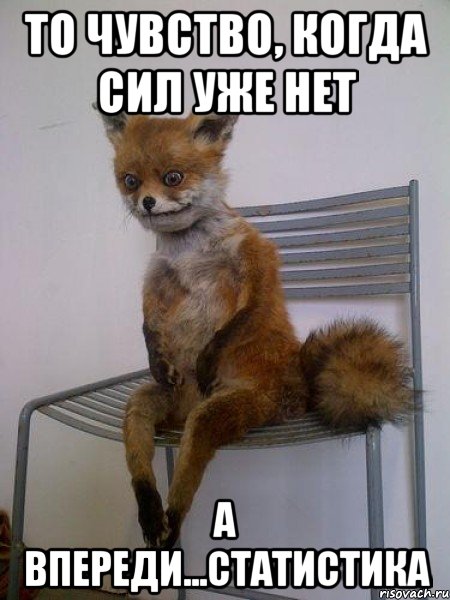 то чувство, когда сил уже нет а впереди...статистика