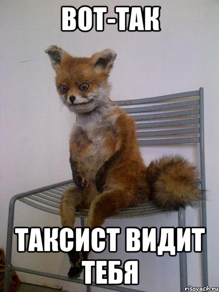 вот-так таксист видит тебя, Мем Упоротая лиса