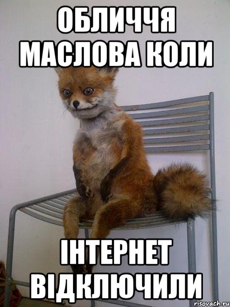 обличчя маслова коли інтернет відключили, Мем Упоротая лиса