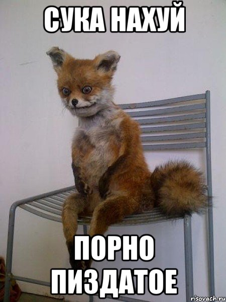 сука нахуй порно пиздатое, Мем Упоротая лиса