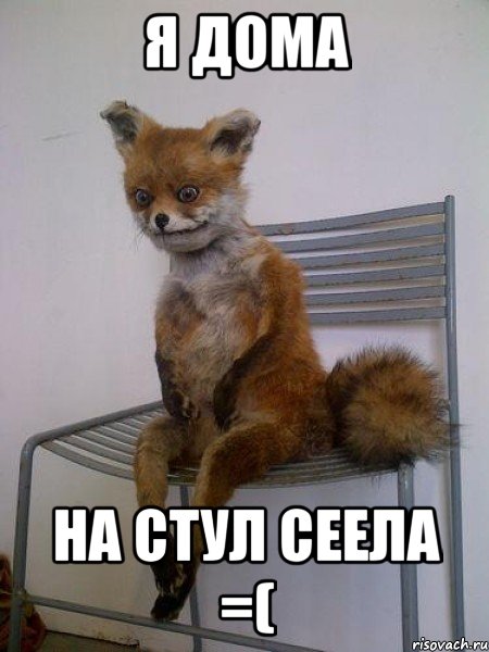 я дома на стул сеела =(