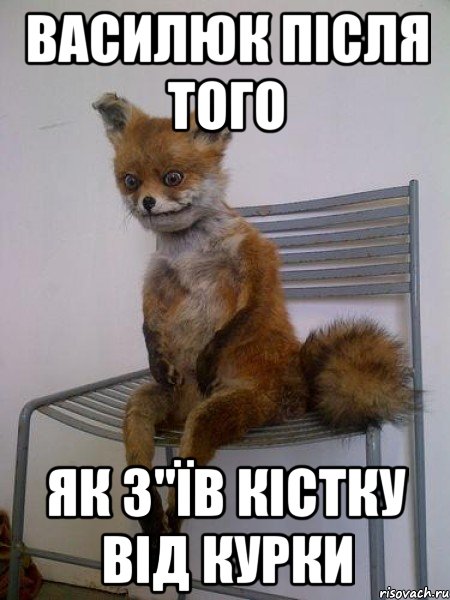 василюк після того як з"їв кістку від курки, Мем Упоротая лиса