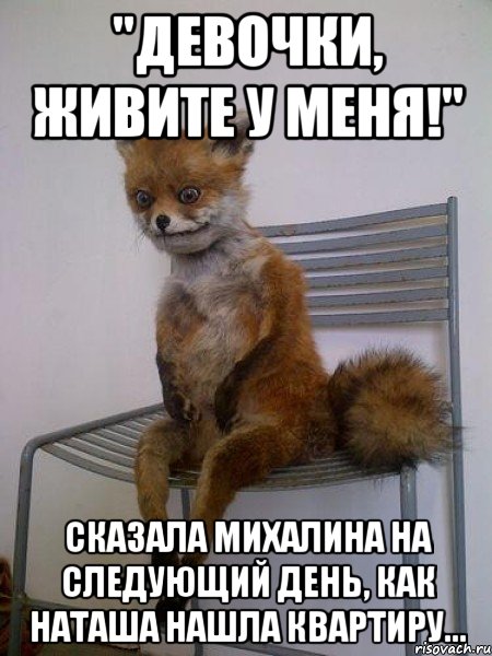 "девочки, живите у меня!" сказала михалина на следующий день, как наташа нашла квартиру..., Мем Упоротая лиса