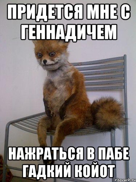 придется мне с геннадичем нажраться в пабе гадкий койот, Мем Упоротая лиса