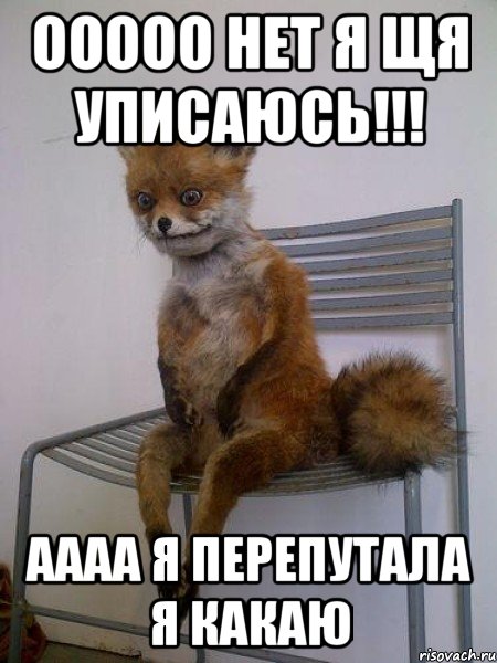 ооооо нет я щя уписаюсь!!! аааа я перепутала я какаю, Мем Упоротая лиса