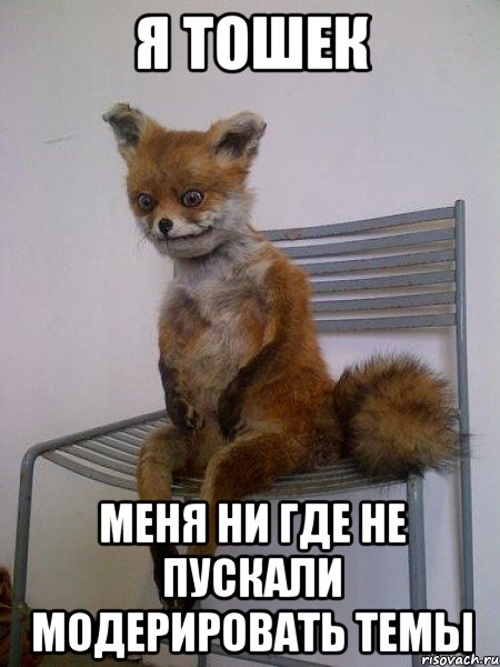 я тошек меня ни где не пускали модерировать темы, Мем Упоротая лиса