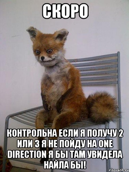 скоро контрольна если я получу 2 или 3 я не пойду на one direction я бы там увидела найла бы!, Мем Упоротая лиса