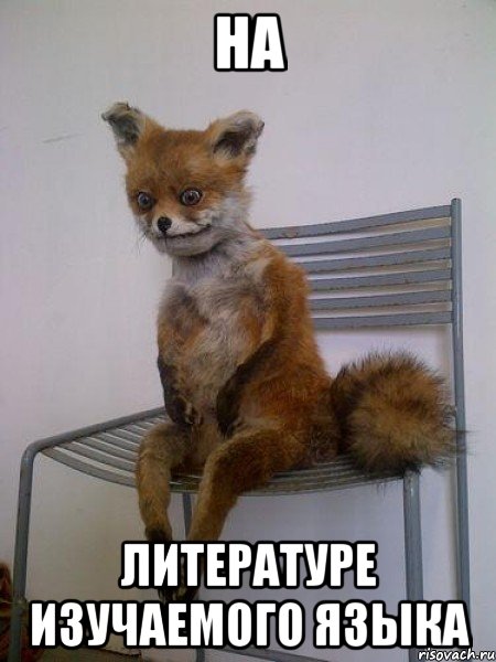 на литературе изучаемого языка, Мем Упоротая лиса