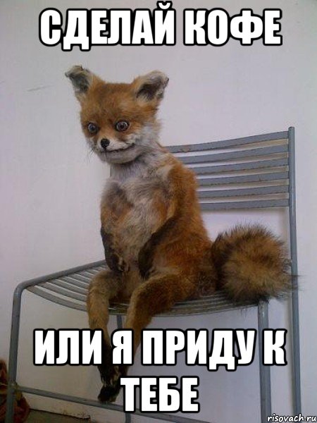 сделай кофе или я приду к тебе, Мем Упоротая лиса
