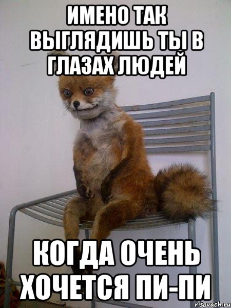имено так выглядишь ты в глазах людей когда очень хочется пи-пи, Мем Упоротая лиса
