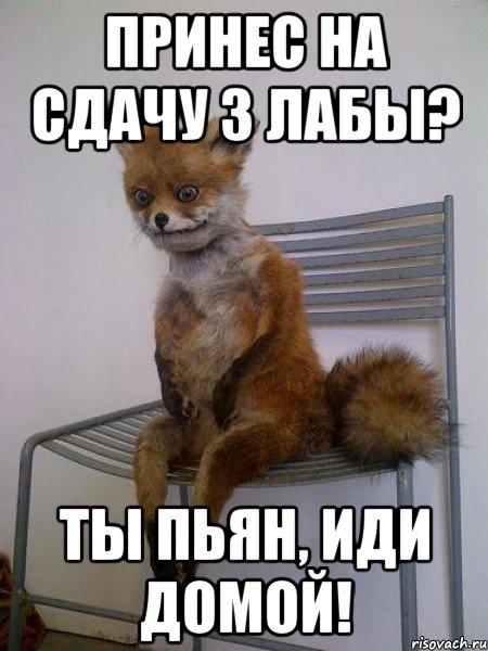 принес на сдачу 3 лабы? ты пьян, иди домой!, Мем Упоротая лиса
