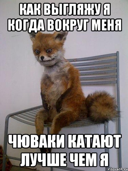 как выгляжу я когда вокруг меня чюваки катают лучше чем я, Мем Упоротая лиса