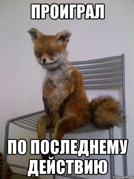проиграл по последнему действию, Мем Упоротая лиса